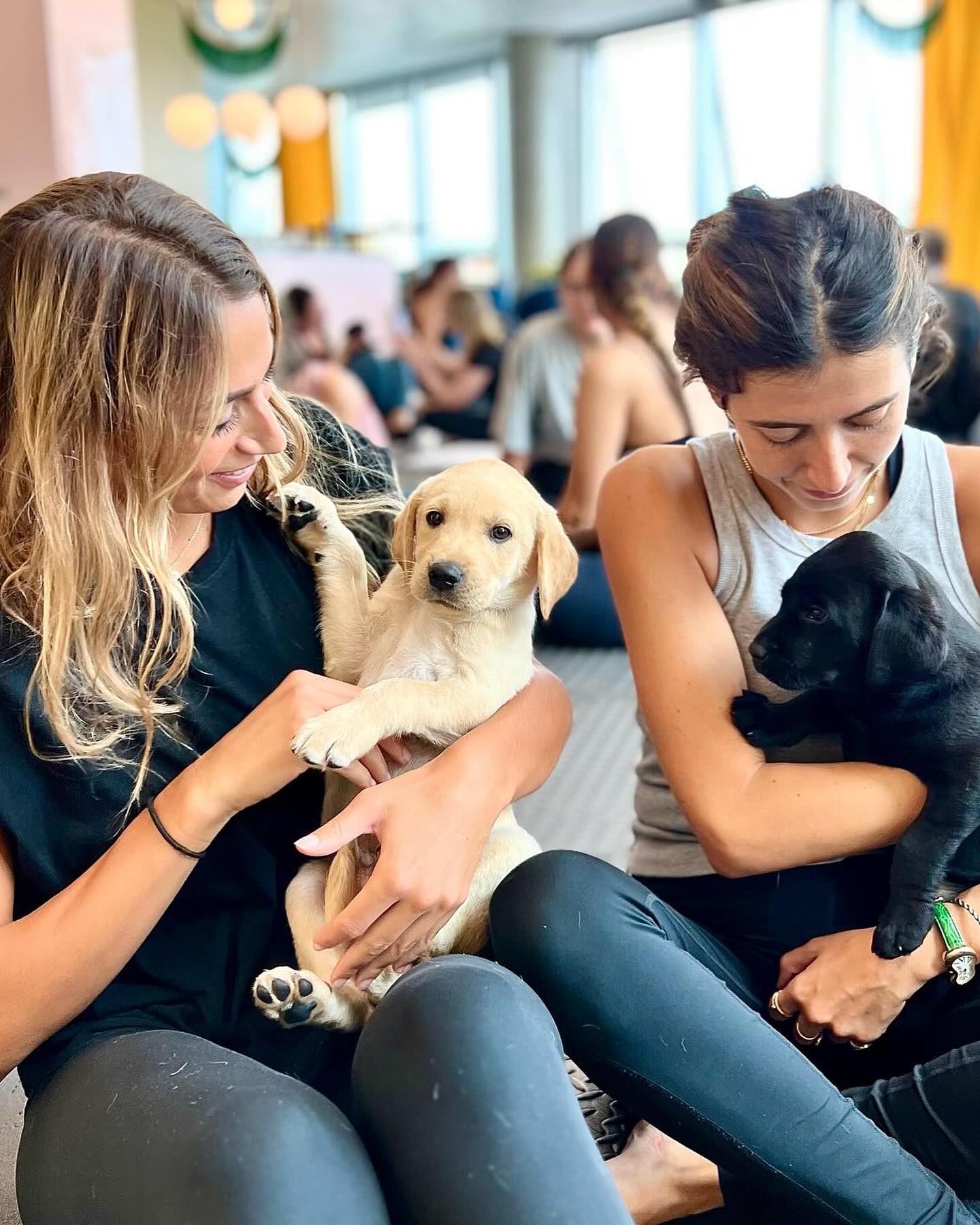 Puppy Yoga Norfolk (Puppies Yoga) | Norfolk, VA